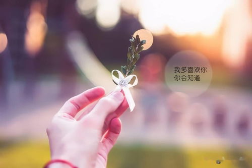 一生爱一人情感句子简短,永恒誓言