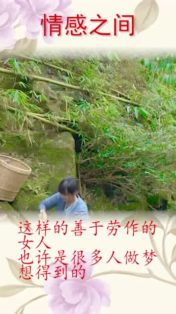一道菜的情感故事有哪些,一道菜的感人传承