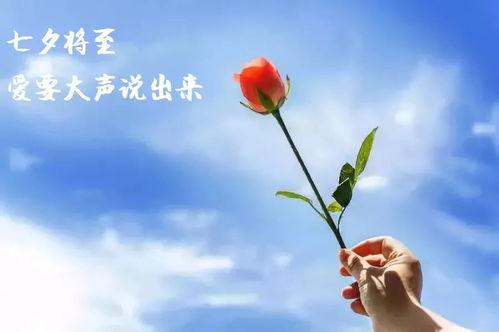 一生爱一人情感句子唯美,爱一人,唯美情深
