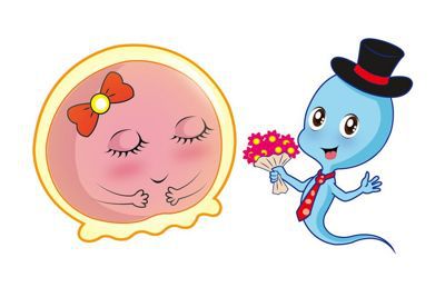 吃了老公的精子会怎么样,揭秘食用精子后的神奇变化