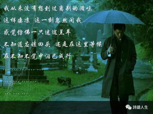我在等待这一刻情感解析,心灵深处的故事