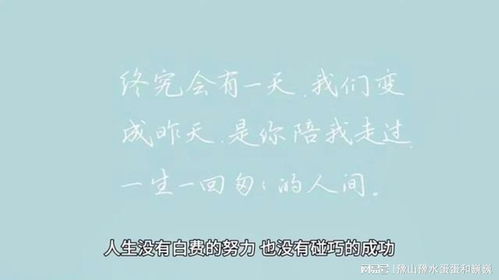 一句话感言情感文案短句,感悟生活的情感短句