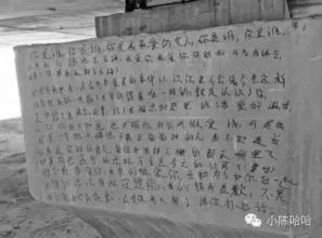 挽回的情书,一段挽回情书的真挚历程
