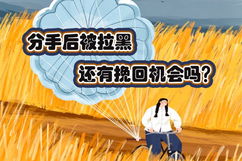 拉黑后挽回,如何巧妙挽回失去的联系