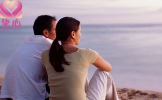 上海婚姻挽回机构,重燃爱情火焰的守护者