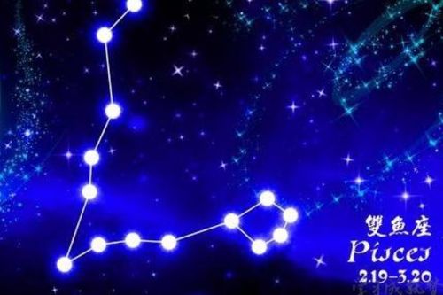 挽回双鱼座,揭秘挽回双鱼座的秘诀