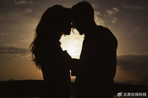 挽回感情的公司,专业挽回，重拾爱情甜蜜