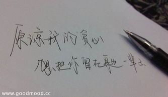 情感大师如何挽回感情,挽回爱情的秘密武器