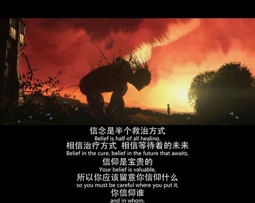 无可挽回的意思是什么,命运之轮的最终定格