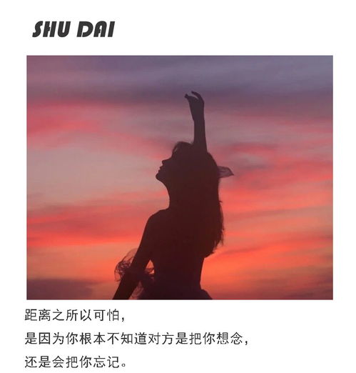 纠缠与挽回,揭秘挽回爱情的策略与智慧