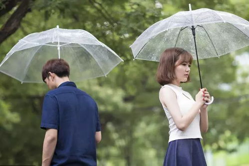 想挽回前女友该怎么说,温馨而诚恳的告白策略
