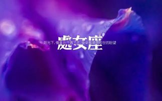 怎样挽回处女座,如何巧妙挽回挚爱