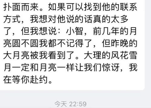 挽回情人的短信,一封挽回情人的短信概述