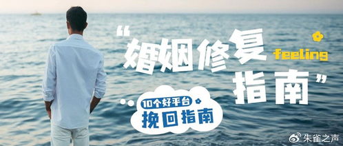 情感挽回公司的十大排名,专业助力重拾爱情