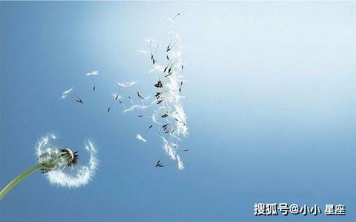 成功挽回天蝎,揭秘成功挽回的秘诀