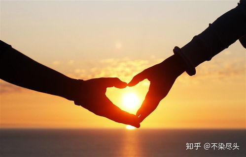一句话挽回爱情的句子,挽回爱情的力量