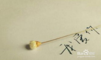 伤了老公的心怎样挽回,如何挽回老公受伤的心灵