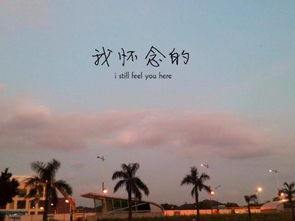 分手挽回表白,挽回爱情的勇敢尝试