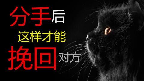 情感挽回机构有效果吗,揭秘其效果与真实案例