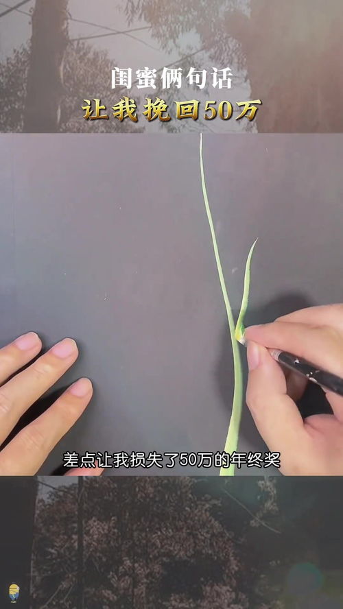 挽回闺蜜的句子,用真挚话语挽回闺蜜的心