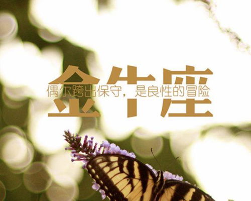金牛女挽回,重燃爱火,共度美好时光
