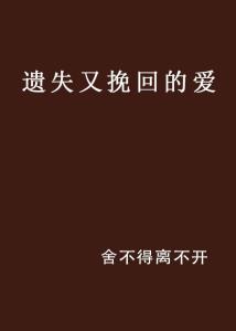 有谁找过启爱公司挽回,揭秘那些曾试图挽回的客户故事