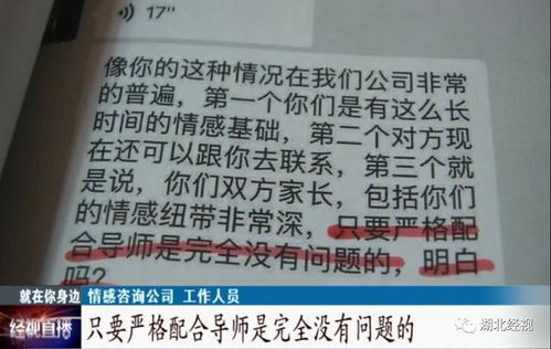 合家挽回套餐,重拾温馨,共筑和谐家庭桥梁