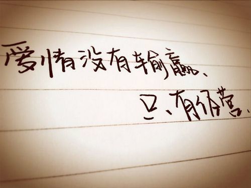 有谁找过启爱公司挽回,揭秘那些曾试图挽回的客户故事