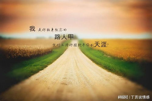 挽回 抽离,情感修复的旅程