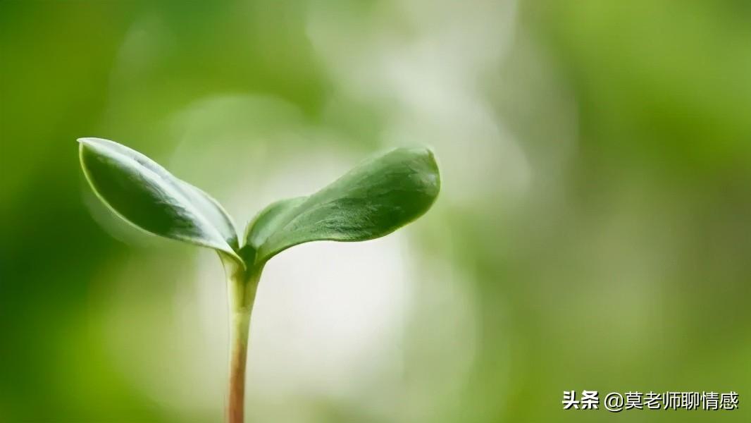 面对妻子出轨，挽救婚姻的方法（面对妻子的出轨,男人心理如何调整）