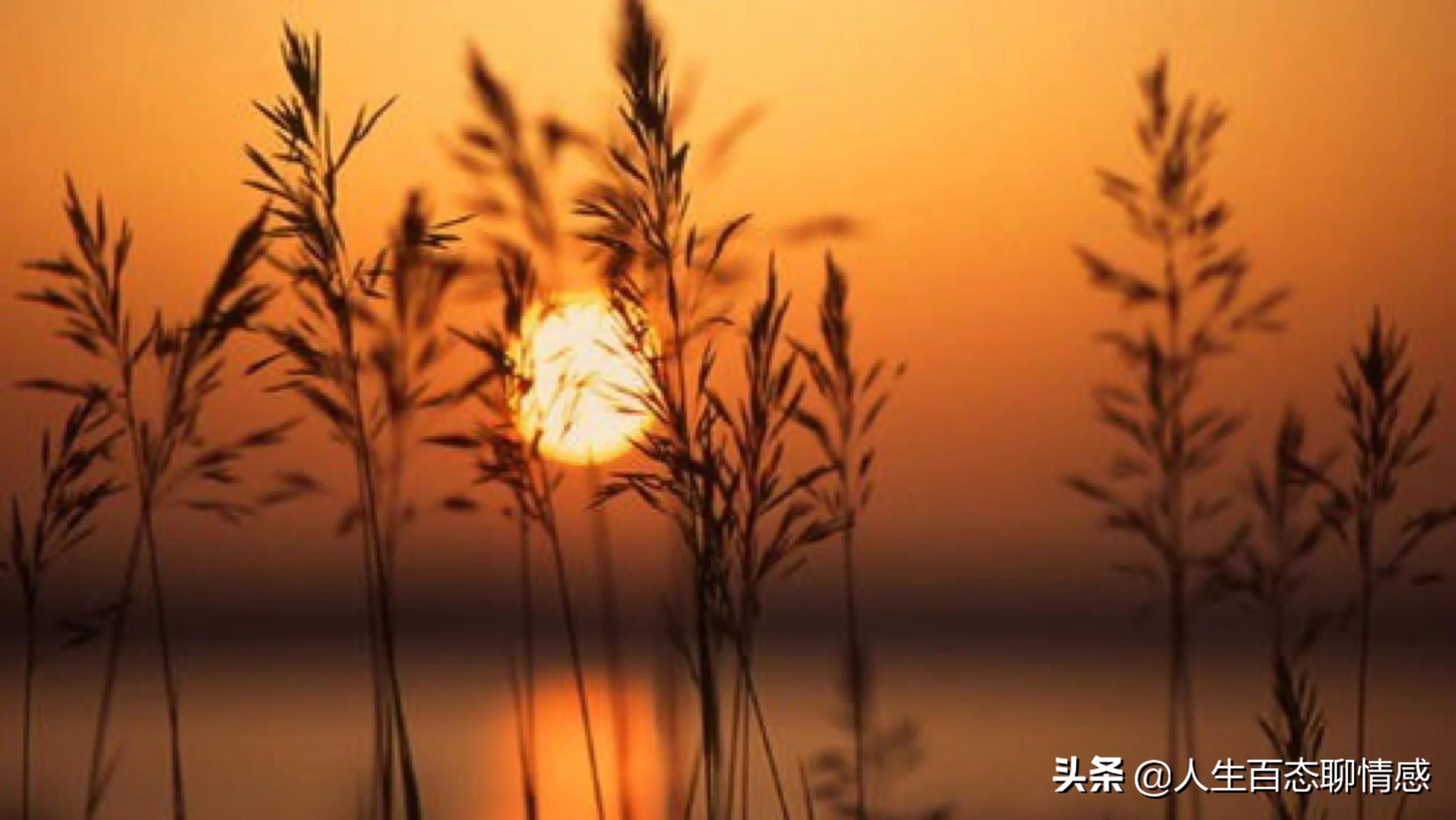 婆媳关系中老公的立场（婆媳关系怎么处理？）